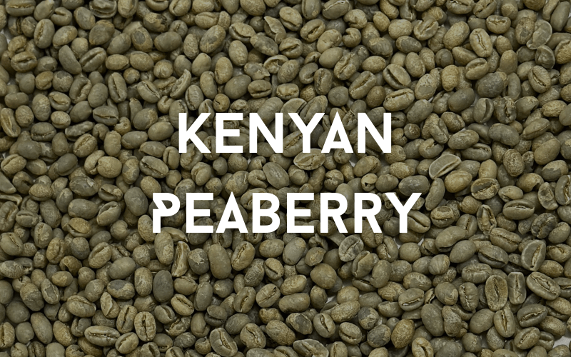 Kenyan Peaberry Coffee Our New Kenyan Peaberry Limited Edition Coffee