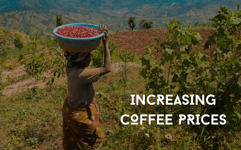 Why are coffee prices increasing?
