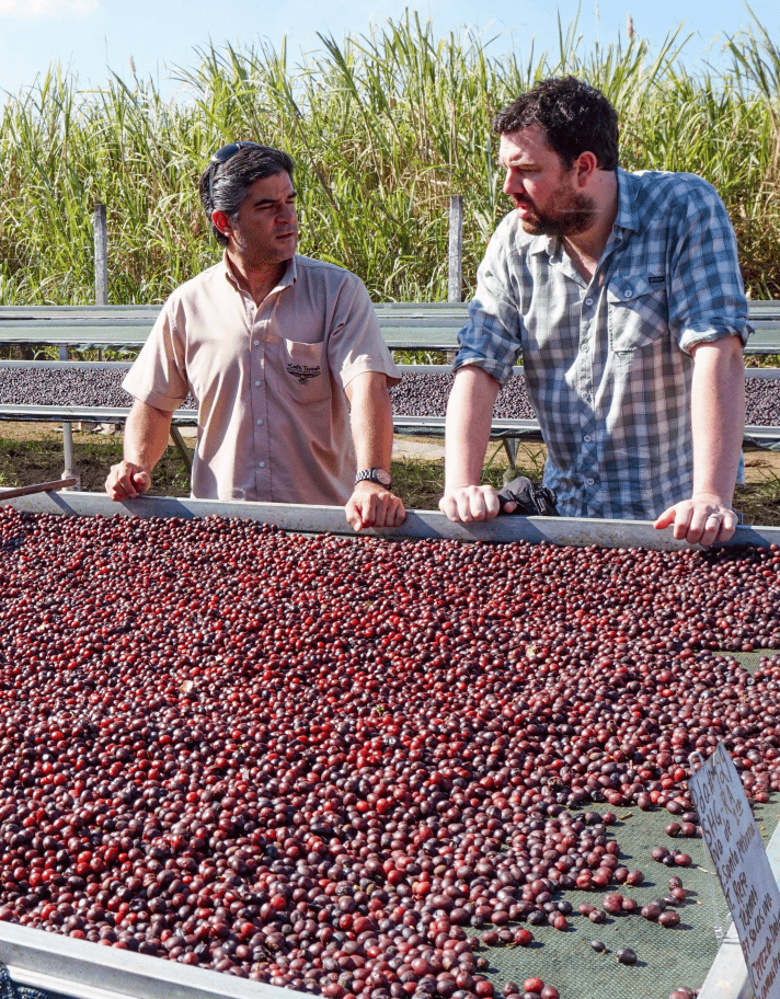 Our New El Salvador Limited Edition! 1 Our New El Salvador Coffee Farmers at a drying station