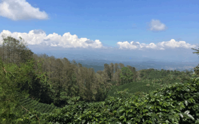 New Charity Coffee