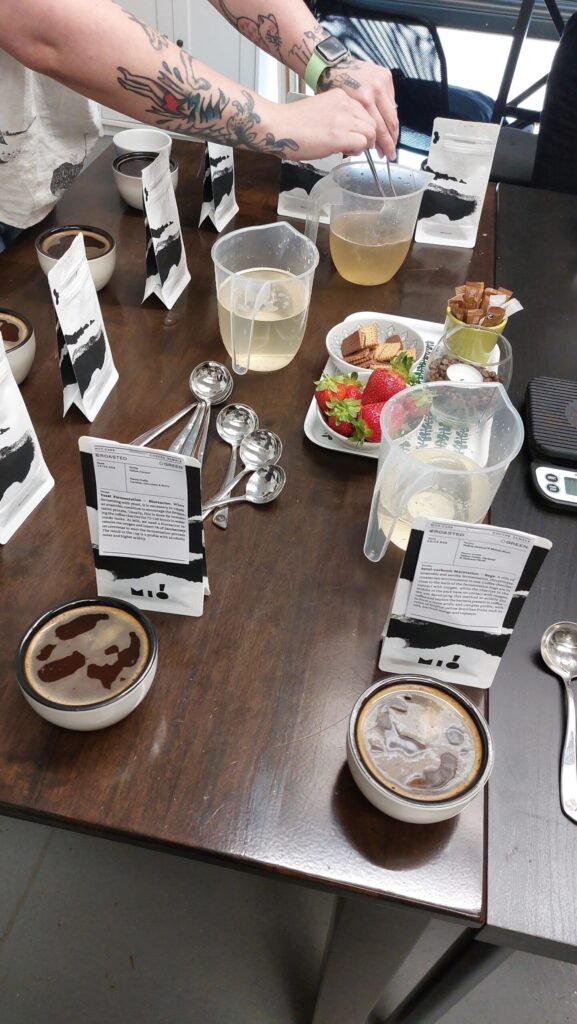 Introducing Mio Coffee 7 20230711 120550 scaled 2 Kaffeehaus Coffee Roasters
