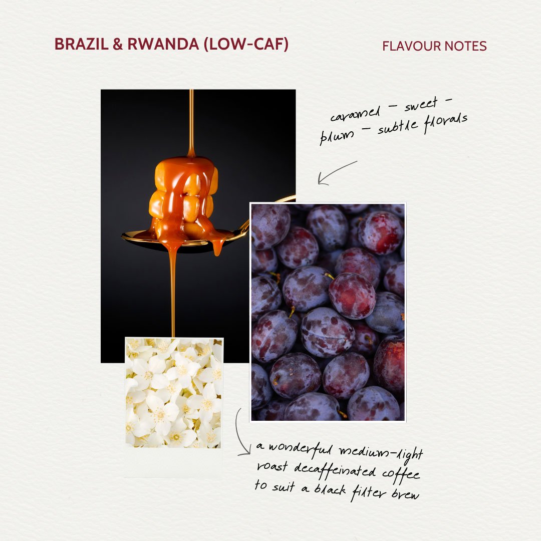 Balance-Low-Caf-Hover St.Cuthbert's Journey Flavour Notes