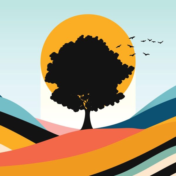 sycamore gap