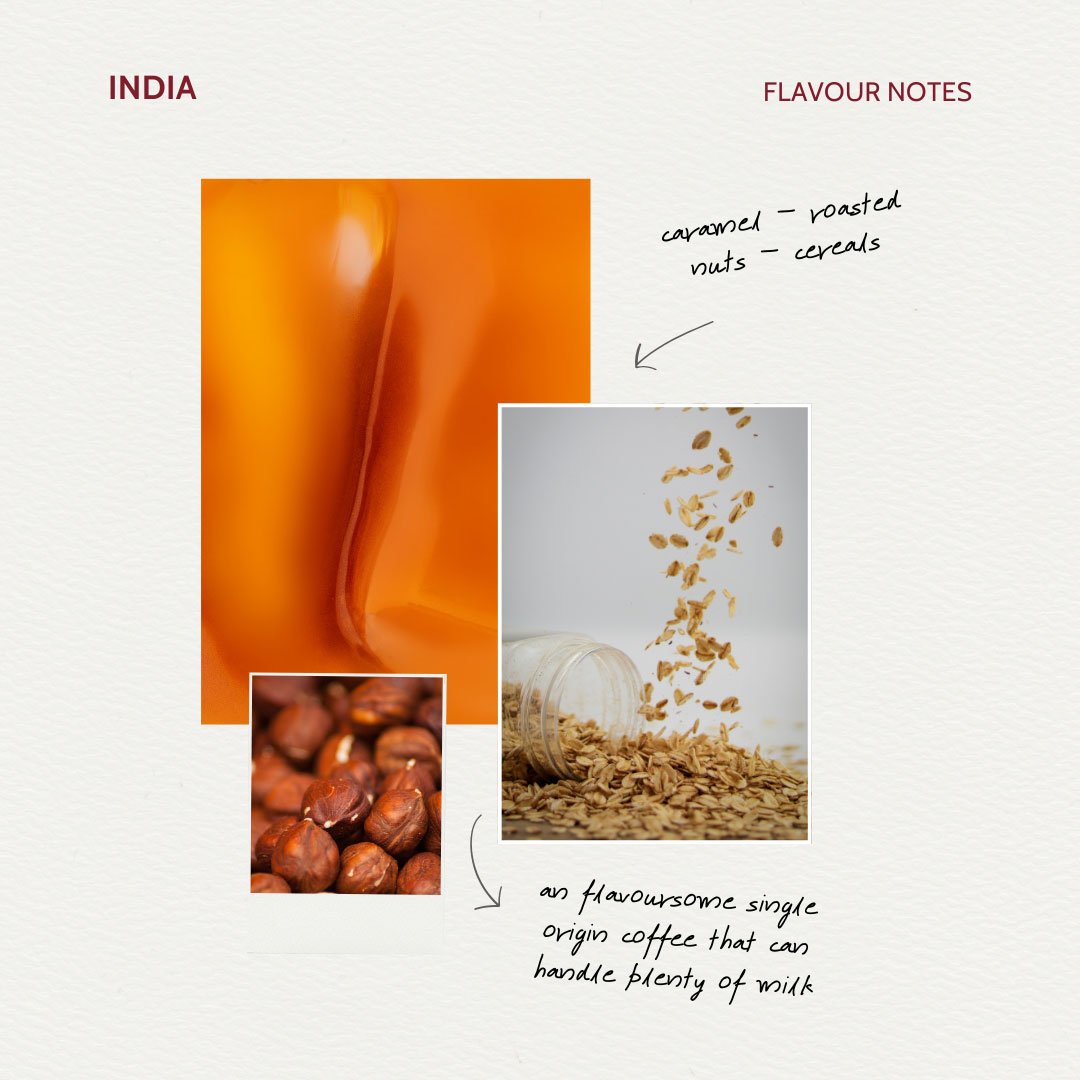 A flavoursome single origin coffee that can handle a lot of milk
