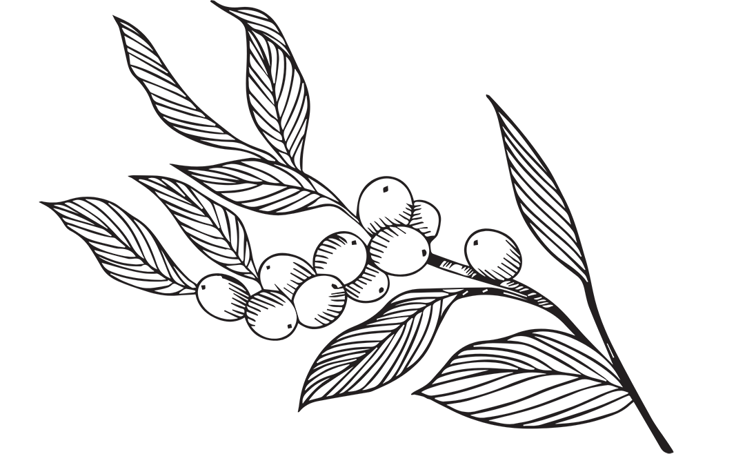 Come visit us at our roastery<br />
for some freshly roasted coffee<br />
or to grab a coffee to go