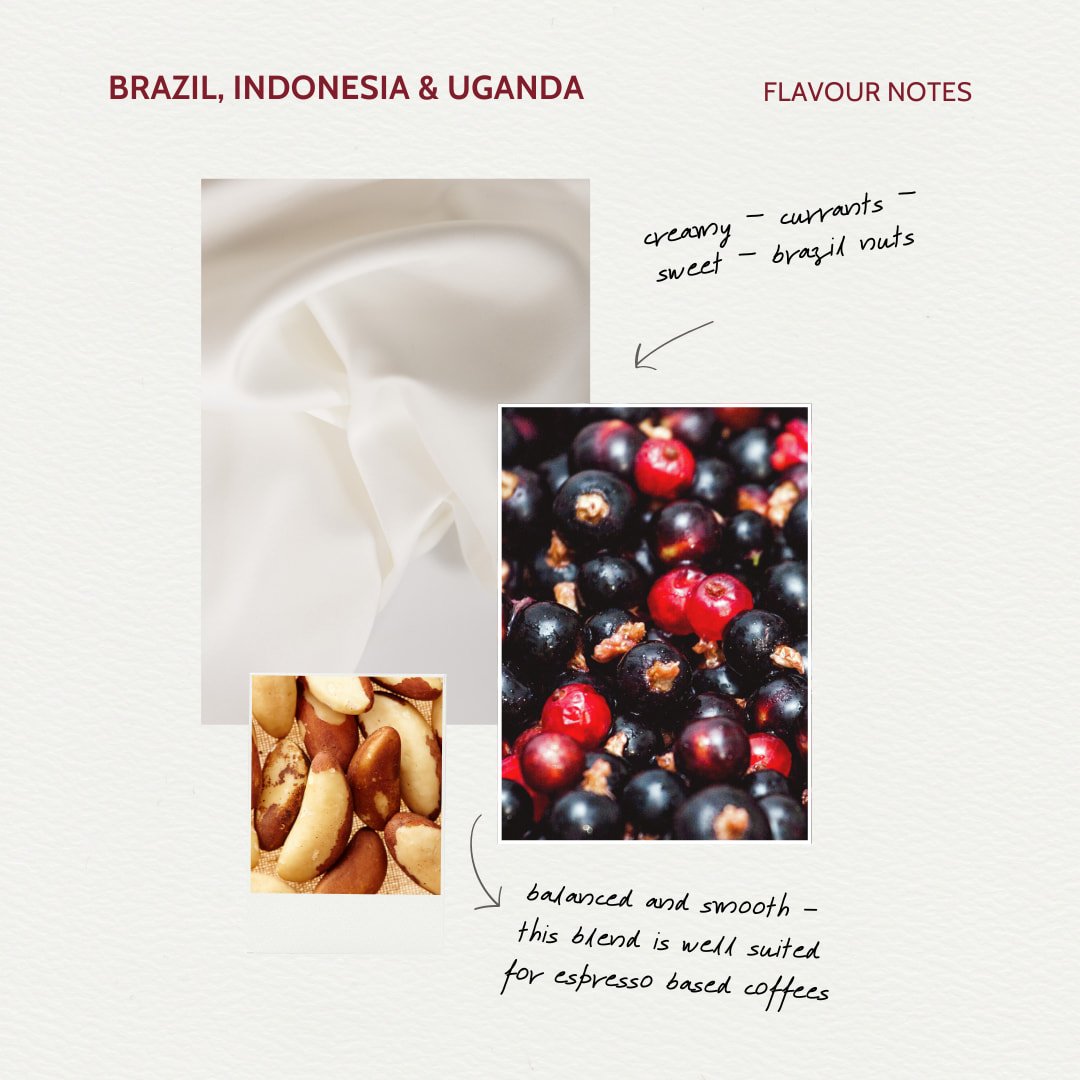 Kaffeehaus Signature Coffee Flavour Card