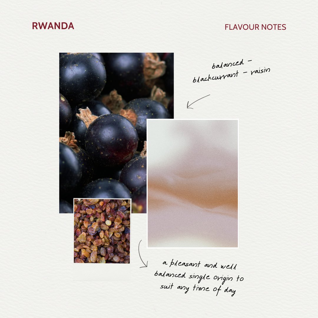 St. Cuthbert's Journey - Rwandan coffee flavour card