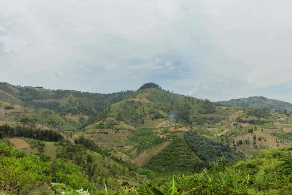 AK4A8030 1 Kaffeehaus Coffee Roasters