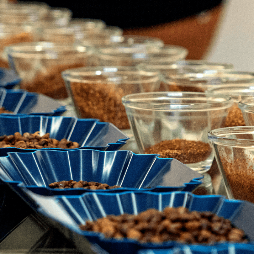 cupping bowls and trays with beans set up ready for a coffee cupping event
