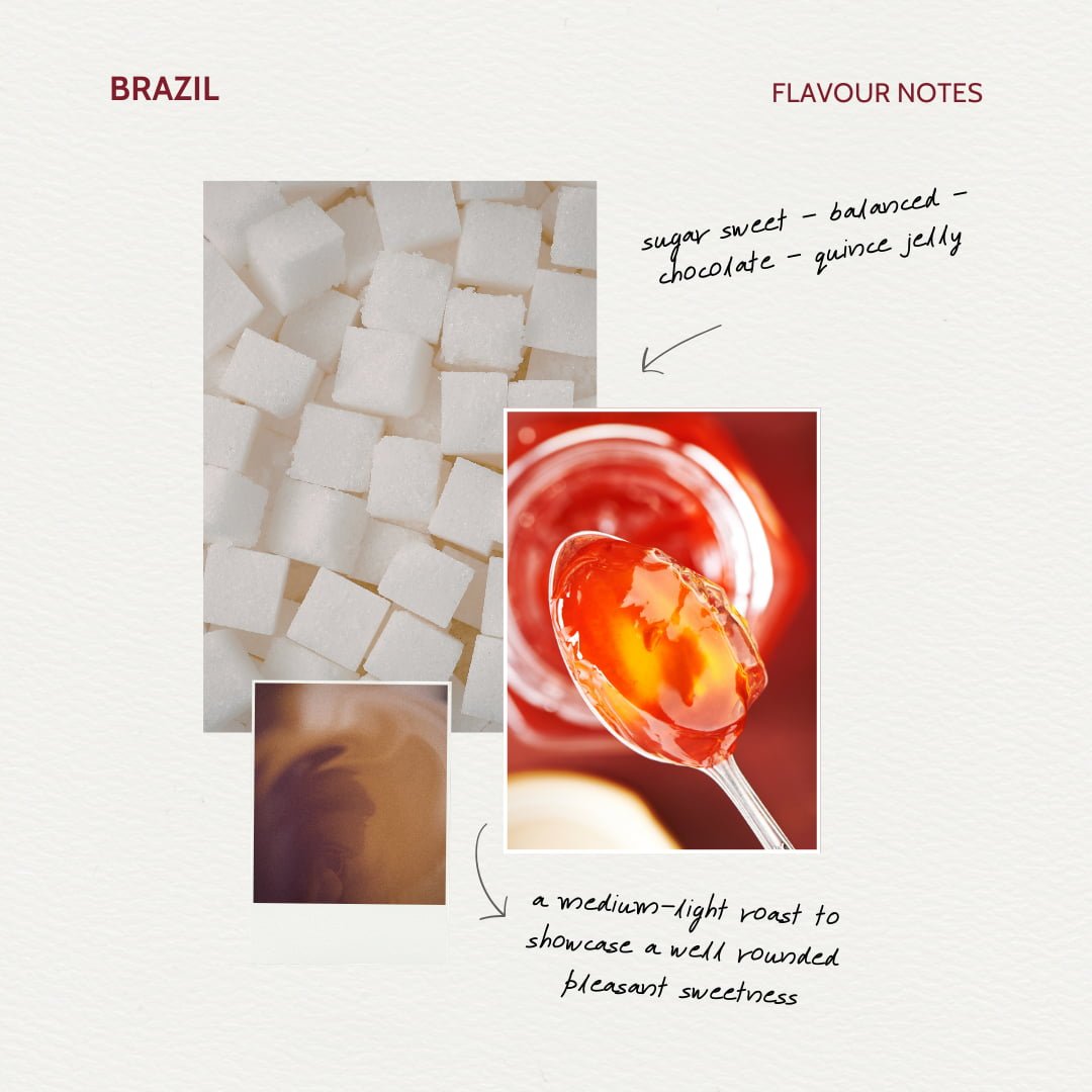 Miners' Gala Brazilian Coffee Flavour Note Card