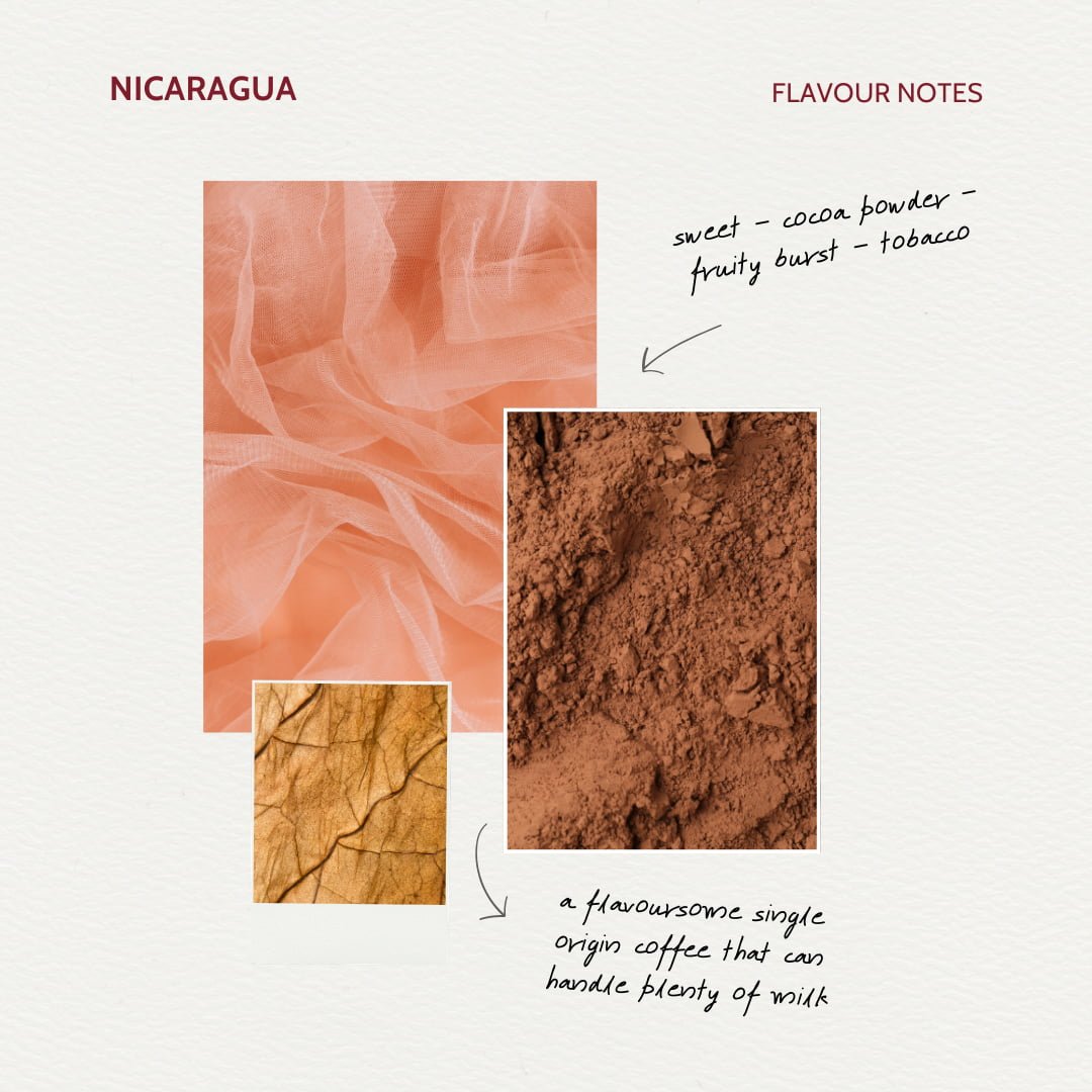 A flavoursome single origin coffee that can handle a lot of milk