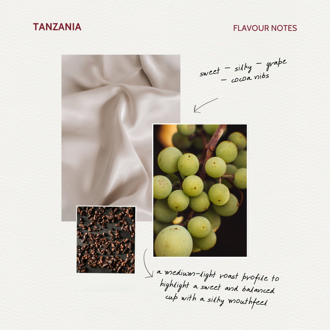 discovery coffee flavour note card